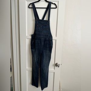 Free People Skinny Dark Wash Overalls Size 27